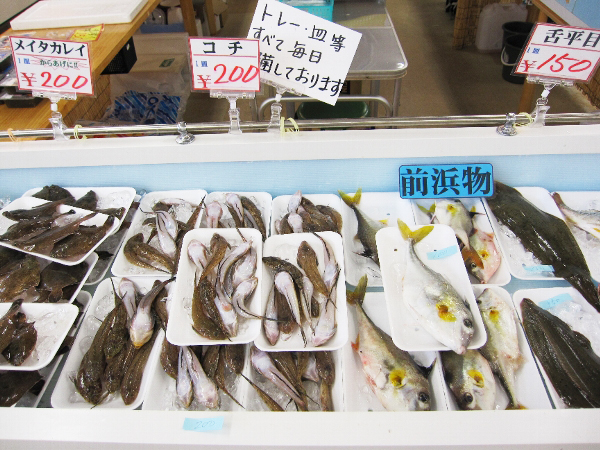 前浜でとれた新鮮な魚がたくさん！地元で人気の鮮魚直売所「魚魚鈴」 | DoChubu 中部の暮らし