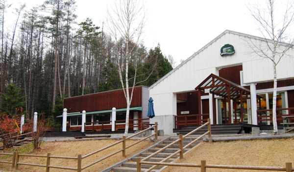 「開田高原アイスクリーム工房」のクリスマス・アイスクリームケーキ