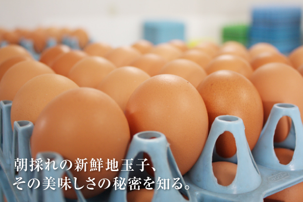 【お弁当特集】こだわりの新鮮地玉子を毎日届ける「松永養鶏場」