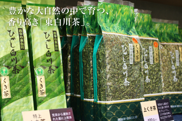 【お茶特集】岐阜県道の駅東しらかわ村「茶の里会館」で本格的なお茶を楽しむ