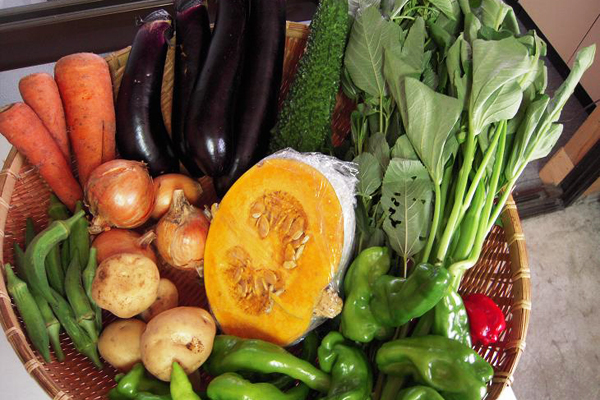 農家から旬な野菜を直接お届け「くらしを耕す会」