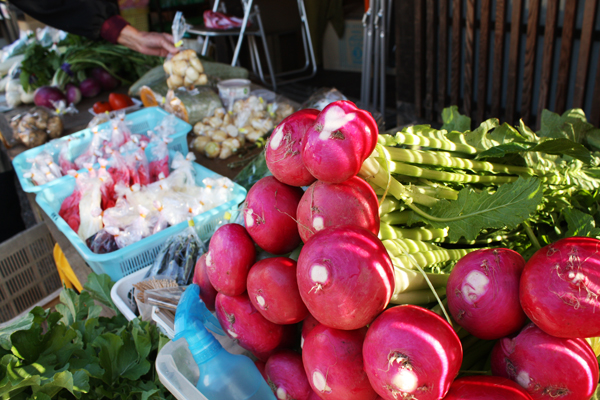 【市場特集】風情ある街並みと共に楽しむ地元朝市「郡上八幡城下町プラザ 城下町朝市」