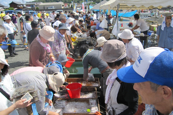 【お魚ブログ】蒲郡漁協西浦支所の青空市
