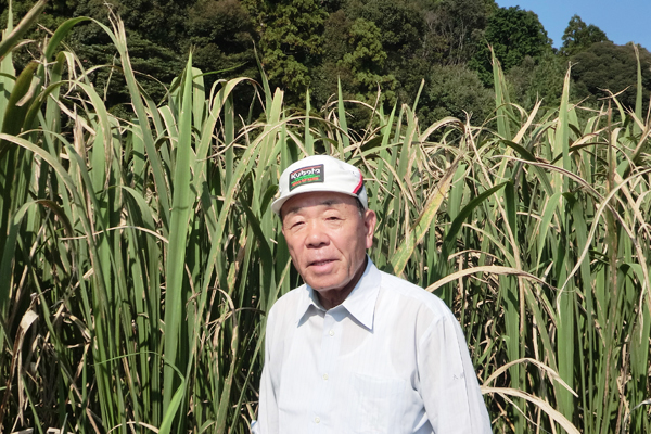 「菰野の真菰」Vol.２ 菰野町の「真菰（マコモ）」栽培を最初にはじめ、今もマコモ普及活動にも取り組む 大橋徳紀さん