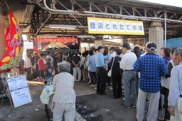 【お魚ブログ】第1回「豊浜とれたて市場」開催！
