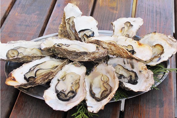 【鳥羽市特集】恵みの海が育んだ旨い浦村カキ。焼きたてを楽しめる孝志丸「かきっこ」