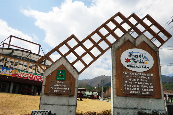 【伊那市特集】収穫体験で自然を感じたい「はびろ農業公園 みはらしファーム」