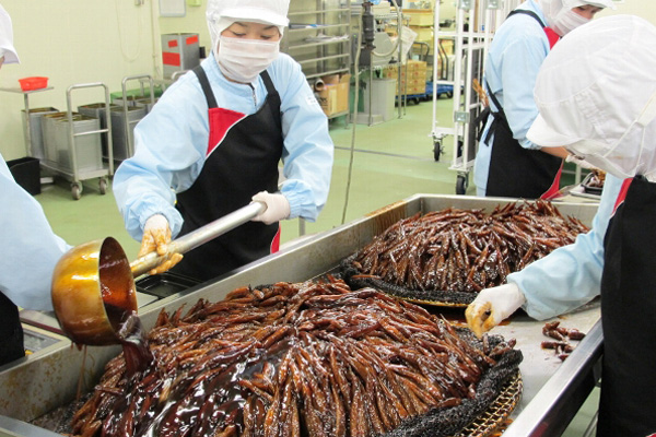 【お魚ブログ】最盛期を迎えたハゼ甘露煮づくり！豊川の平松食品御津工場