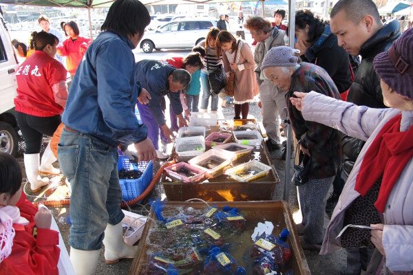 【お魚ブログ】新鮮な魚介を生産者が直売！南知多町大井の「とれとれ漁師市」