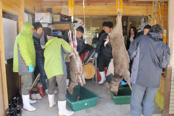 郡上の山の恵みを体感！「長良川まんぱく」の体験プログラム「素材と命の神髄を知る！若手猟師と解体見学＆山肉BBQ」