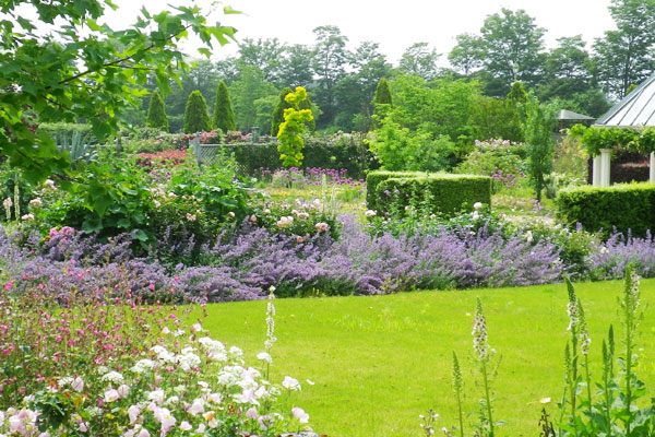 松阪の「農」と「食」の魅力に出合う。「松阪農業公園ベルファーム」
