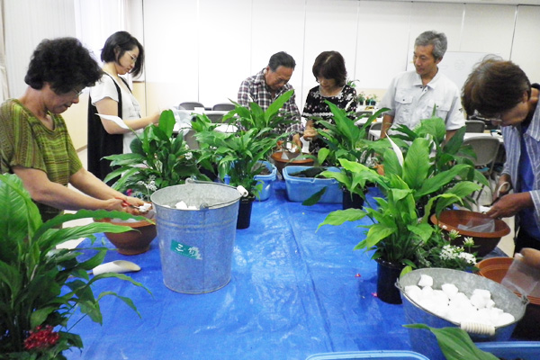 野菜づくりを通して、農業と地産地消に触れる。市民向け農業講座「あぐりカレッジ農業講座」体験レポート。その4