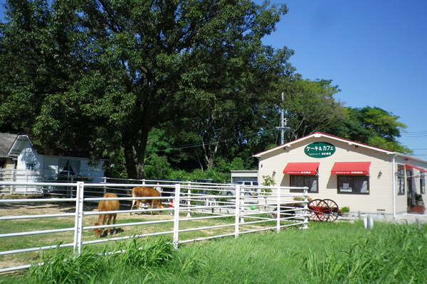 自家牧場産の新鮮牛乳で作る、おいしいスイーツを召し上がれ！「ミルクショップ知多農場」。