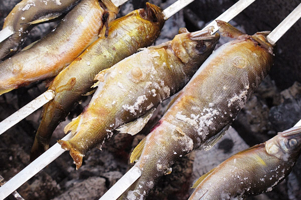 【お魚ブログ】日本一のアユを味わう！郡上・和良町で「和良鮎まつり」開催