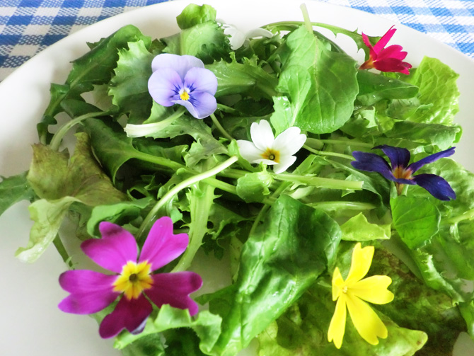 食用花を使ってMy料理を演出