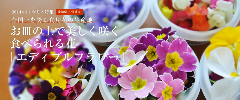 お皿の上で美しく咲く 食べられる花「エディブルフラワー」