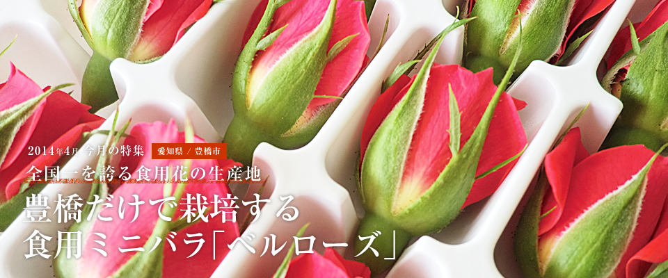 豊橋だけで栽培する食用ミニバラ「ベルローズ」