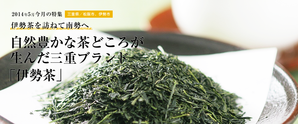 自然豊かな茶どころが生んだ 三重ブランド「伊勢茶」