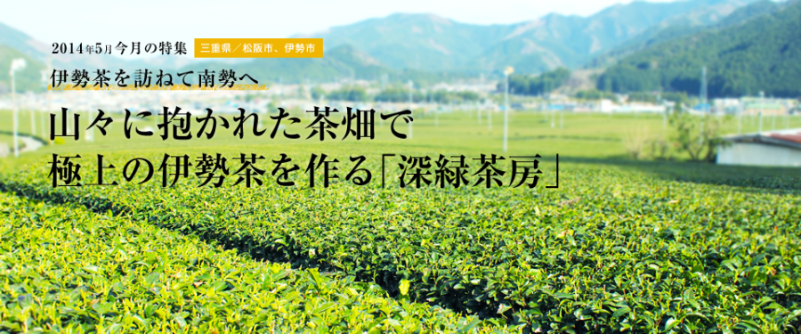 山々に抱かれた広大な茶畑で伊勢茶を栽培する「深緑茶房」