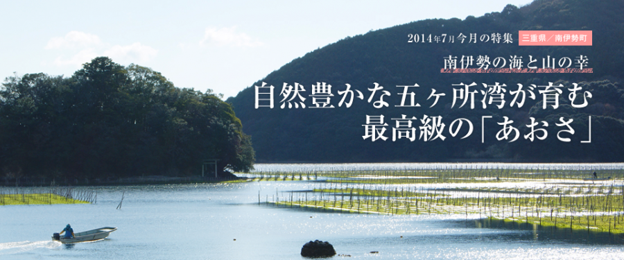 自然豊かな五ヶ所湾が育む最高級の「あおさ」