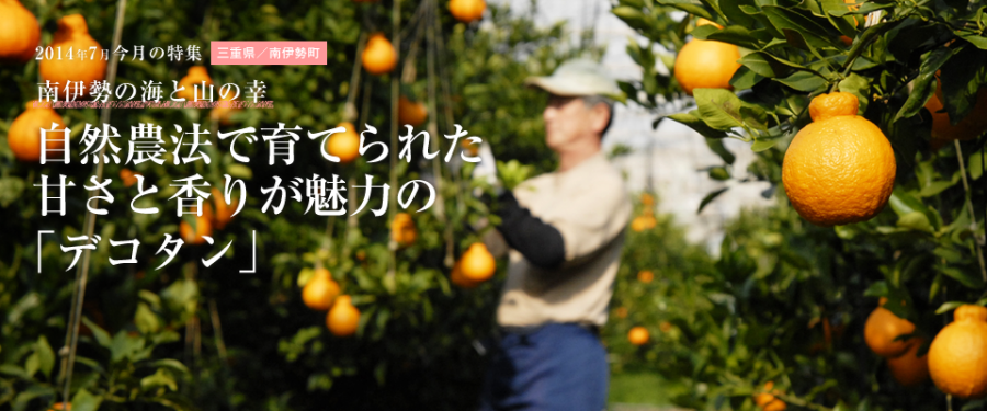 自然農法で育てられた甘さと香りが魅力の「デコタン」