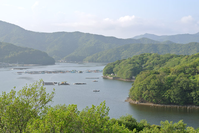 人魚の住む入り江