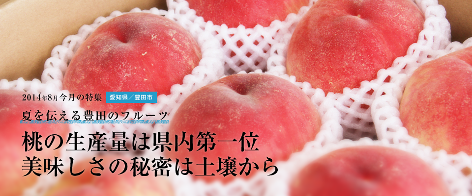 桃の生産量は県内第一位美味しさの秘密は土壌から