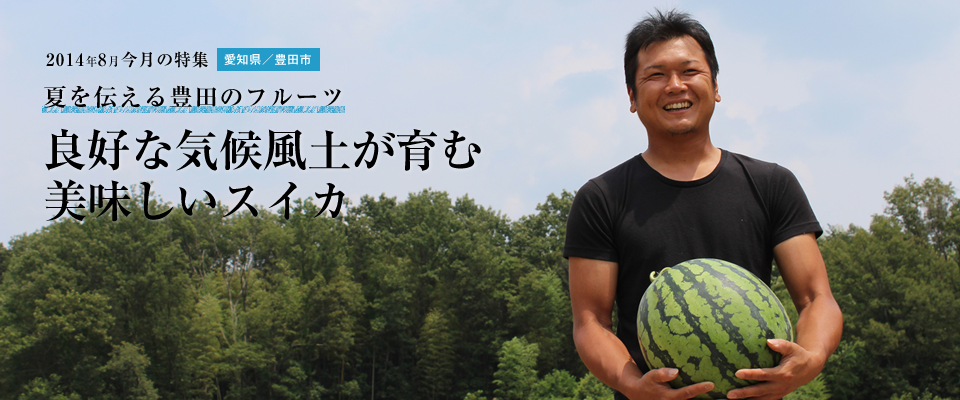良好な気候風土が育む 美味しいスイカ