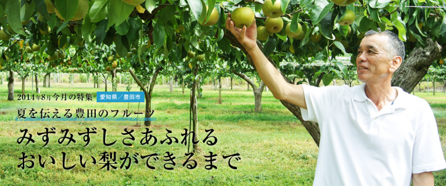 みずみずしさあふれるおいしい梨ができるまで