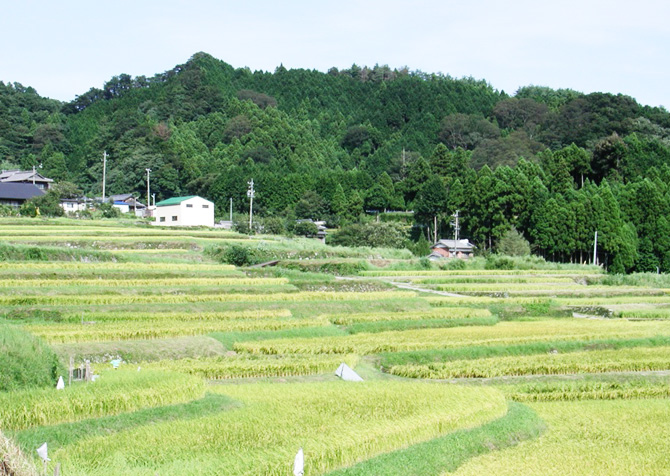 棚田市役所トップ_s