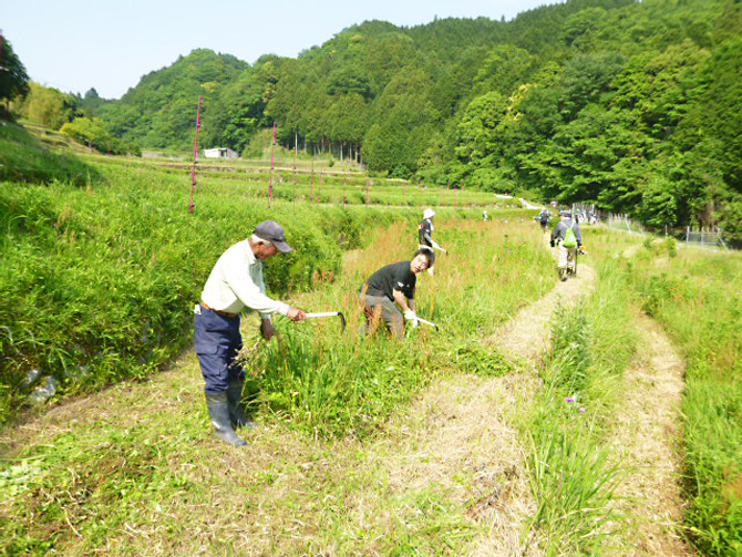 棚田ボランティア1_s