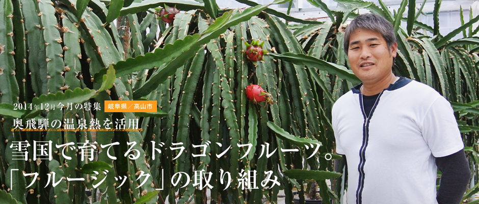 雪国で育てるドラゴンフルーツ。「フルージック」の取り組み