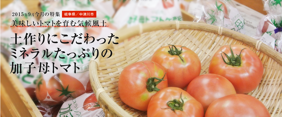 土作りにこだわったミネラルたっぷりの加子母トマト