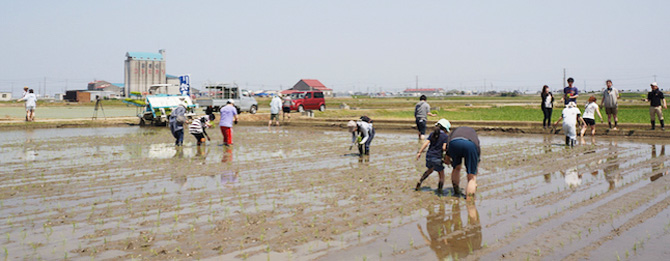 清三郎商店_造る会田植