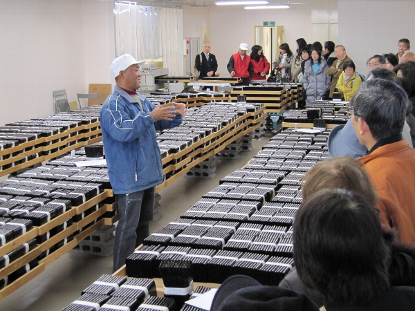 愛知・美浜町の野間漁協でノリの選別を見学！第49回「味わって知る わたしたちの海」