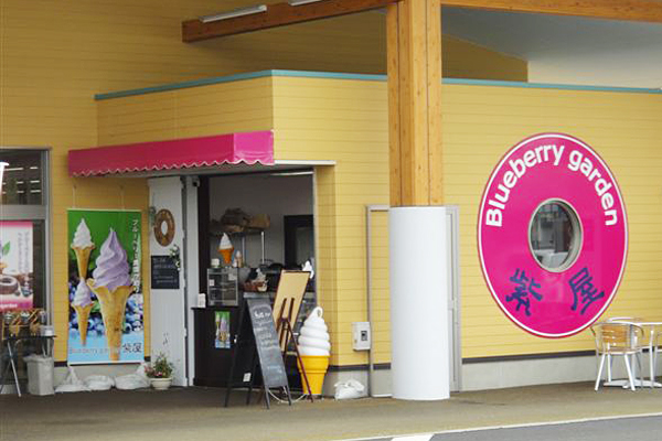 【関市特集】洞戸（ほらど）の豊かな自然に育まれた 完熟ブルーベリーが味わえる「紫屋」