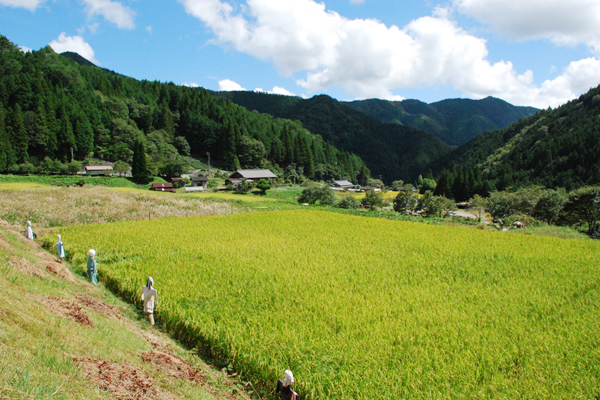 【豊根村特集】豊根村の活性化に取り組む「茶臼の里組合」