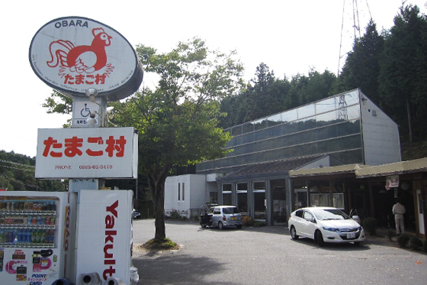 うみたての新鮮な卵を販売する豊田市小原の「たまご村」