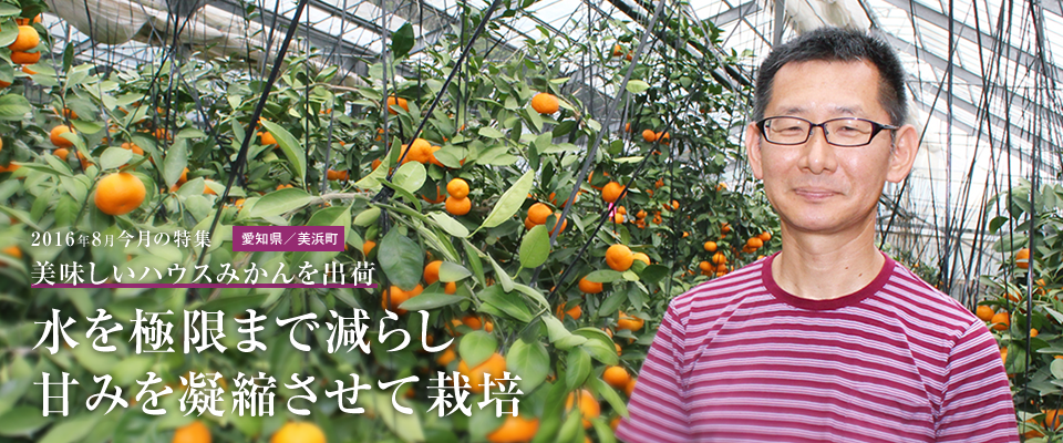 水を極限まで減らし 甘みを凝縮させて栽培